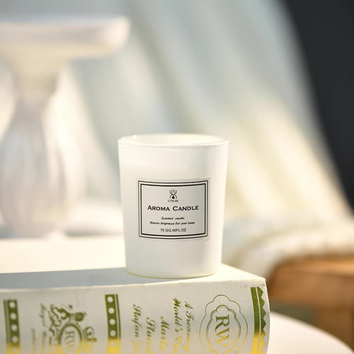 Frosted Cup Aromatherapy Candle